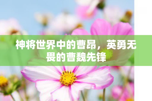 英勇无畏的曹魏先锋图片