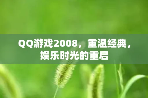 QQ游戏2008图片