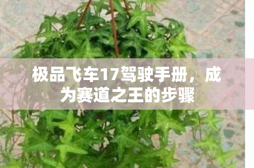极品飞车17驾驶手册图片