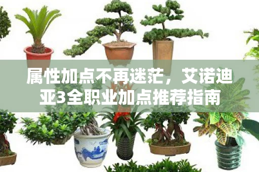 艾诺迪亚3全职业加点推荐指南图片