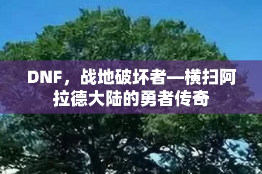 横扫阿拉德大陆的勇者传奇图片