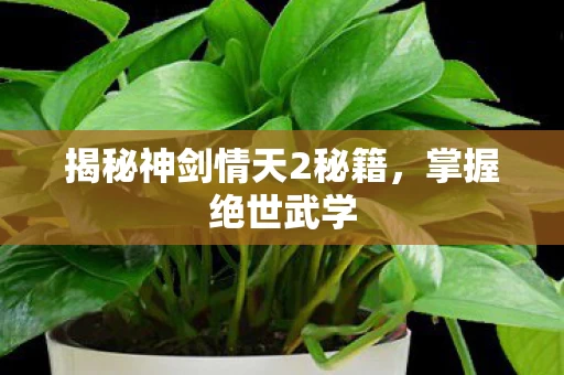 揭秘神剑情天2秘籍图片