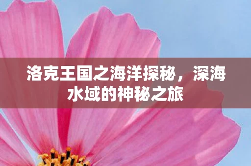 洛克王国之海洋探秘图片
