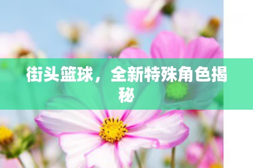 全新特殊角色揭秘图片