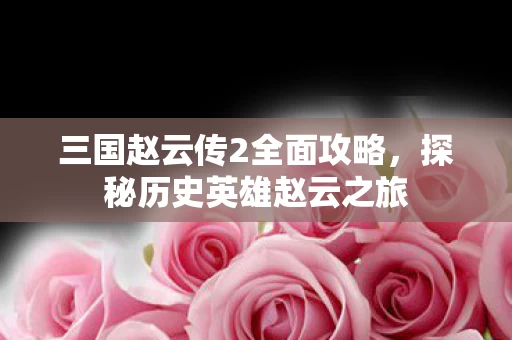 三国赵云传2全面攻略图片