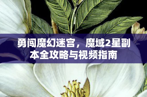 魔域2星副本全攻略与视频指南图片