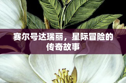 星际冒险的传奇故事图片