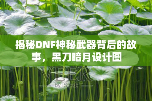 揭秘DNF神秘武器背后的故事图片
