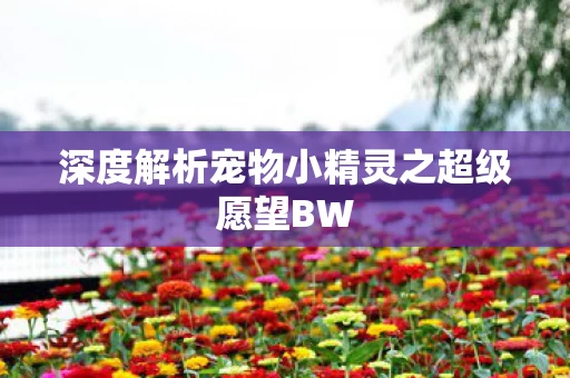 深度解析宠物小精灵之超级愿望BW图片