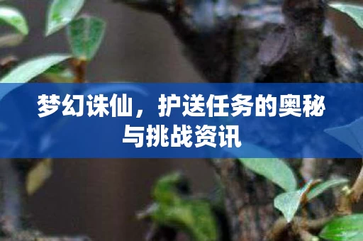 护送任务的奥秘与挑战资讯图片