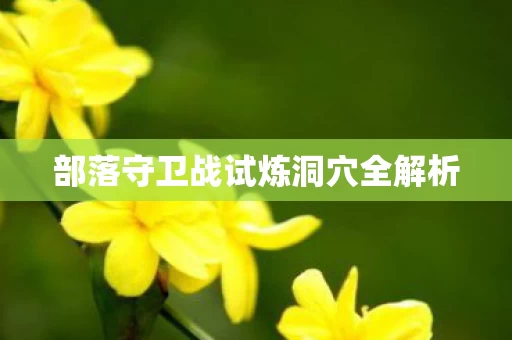 部落守卫战试炼洞穴全解析图片