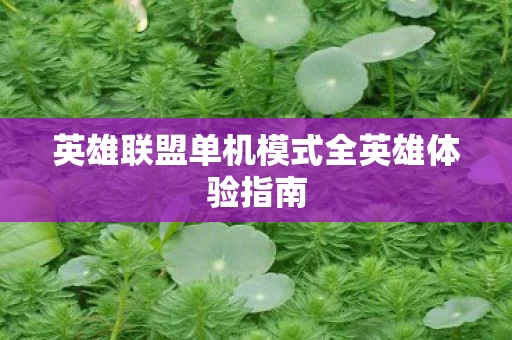 英雄联盟单机模式全英雄体验指南图片