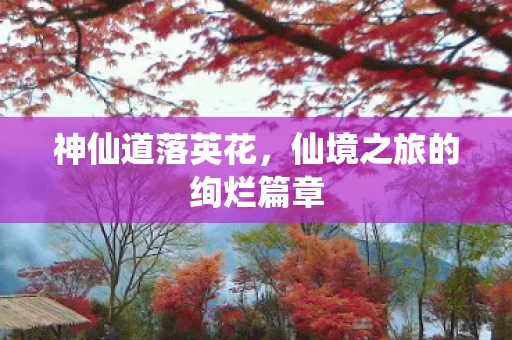 仙境之旅的绚烂篇章图片