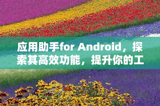 应用助手for Android图片