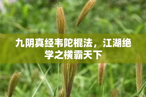 江湖绝学之横霸天下图片