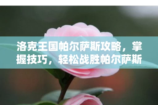 洛克王国帕尔萨斯攻略图片
