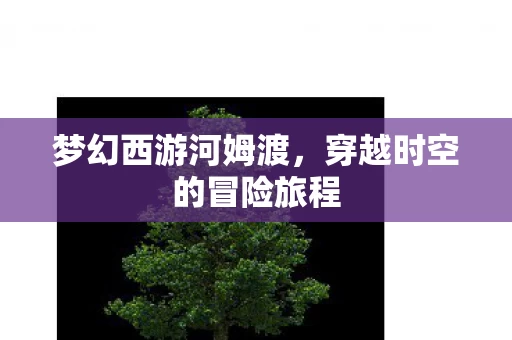 穿越时空的冒险旅程图片