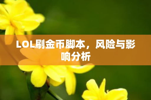 LOL刷金币脚本图片