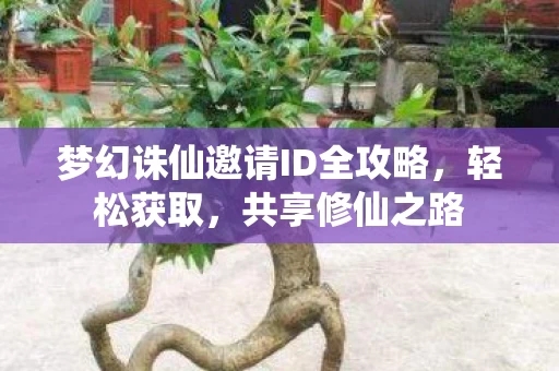 梦幻诛仙邀请ID全攻略图片