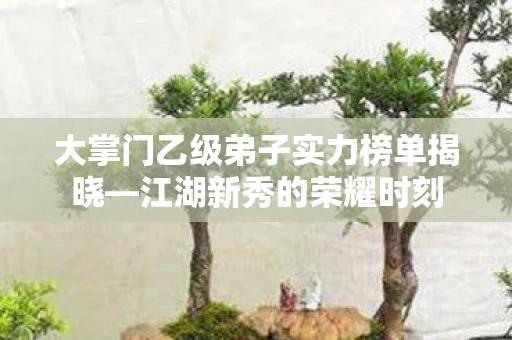 大掌门乙级弟子实力榜单揭晓图片