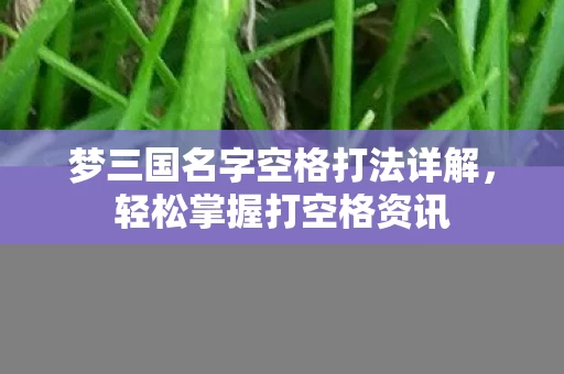梦三国名字空格打法详解图片