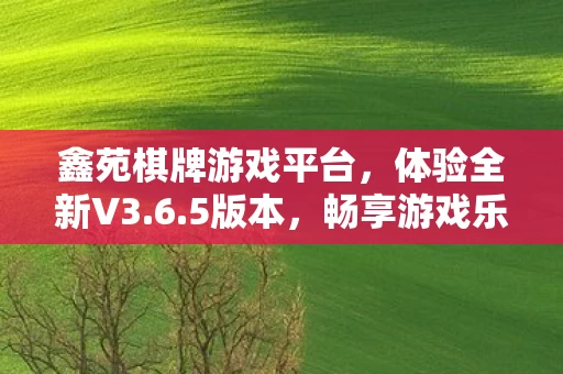 鑫苑棋牌游戏平台图片