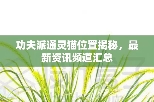 功夫派通灵猫位置揭秘图片