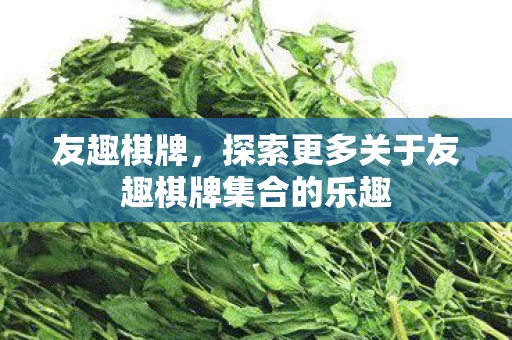 探索更多关于友趣棋牌集合的乐趣图片