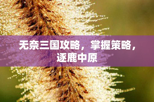 无奈三国攻略图片