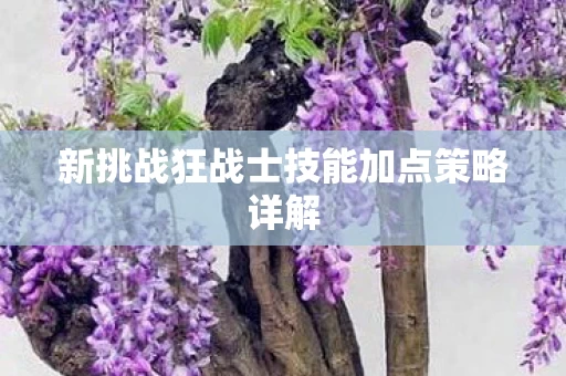 新挑战狂战士技能加点策略详解图片