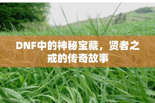 DNF中的神秘宝藏图片