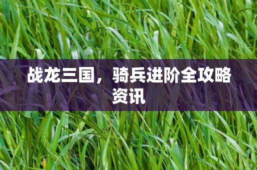 骑兵进阶全攻略资讯图片