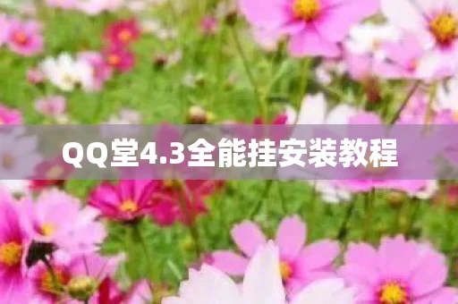 3全能挂安装教程图片
