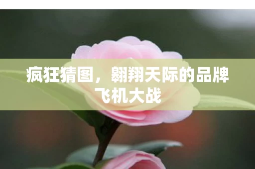 翱翔天际的品牌飞机大战图片