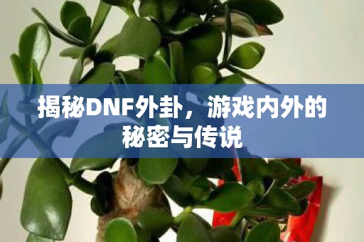 游戏内外的秘密与传说图片