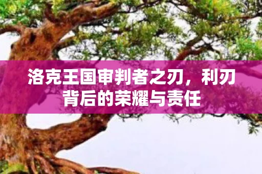 利刃背后的荣耀与责任图片