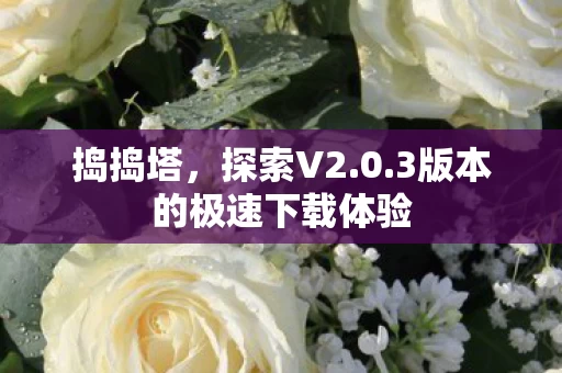 3版本的极速下载体验图片