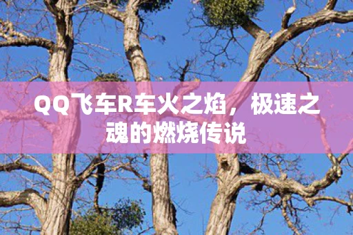 QQ飞车R车火之焰图片