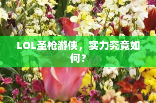 LOL圣枪游侠图片