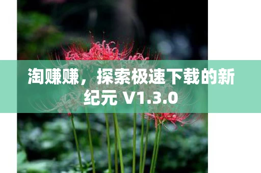探索极速下载的新纪元 V1图片