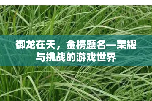 荣耀与挑战的游戏世界图片