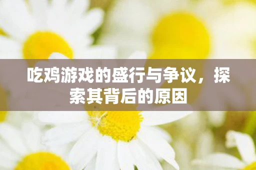 吃鸡游戏的盛行与争议图片