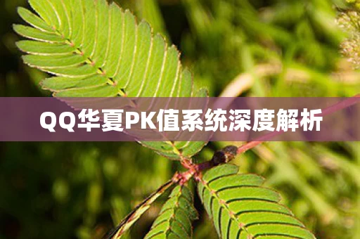 QQ华夏PK值系统深度解析图片