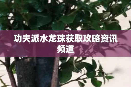 功夫派水龙珠获取攻略资讯频道图片
