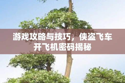 侠盗飞车开飞机密码揭秘图片