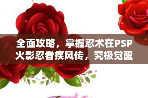 掌握忍术在PSP火影忍者疾风传图片