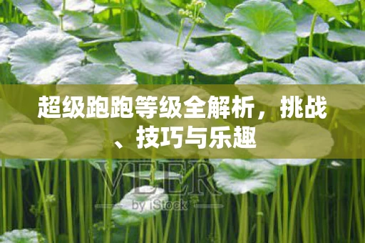 超级跑跑等级全解析图片