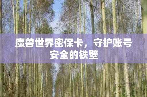 守护账号安全的铁壁图片