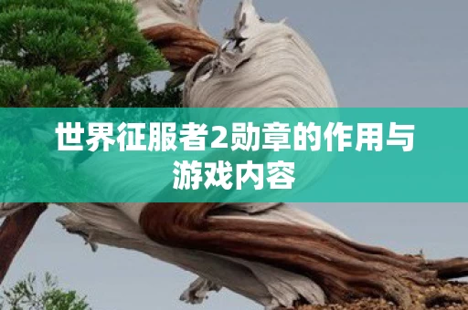 世界征服者2勋章的作用与游戏内容图片