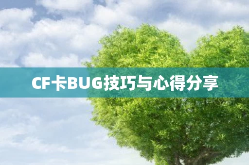 CF卡BUG技巧与心得分享图片